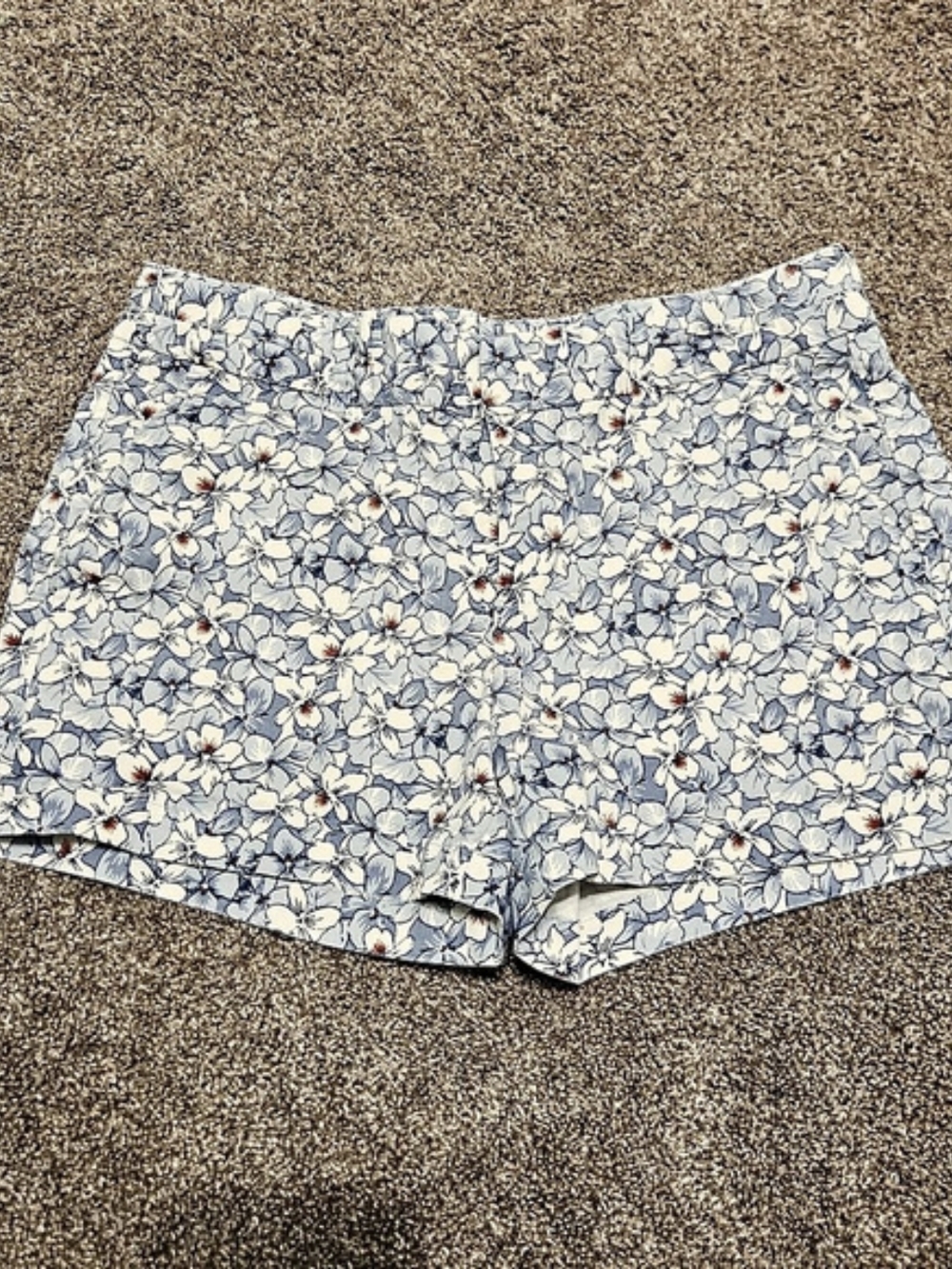Floral High-Waist Shorts in Blue & White